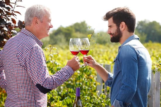 Daily Tekirdag Vineyards Excursions Departure from Istanbul 