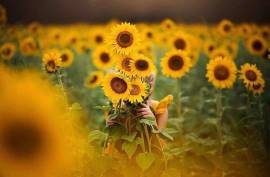 10 Nights – 11 Days Sunset in the Mediterranean Turkey