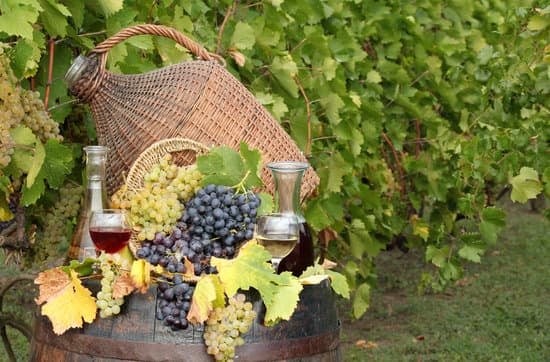 Daily Tekirdag Vineyards Excursions Departure from Istanbul 